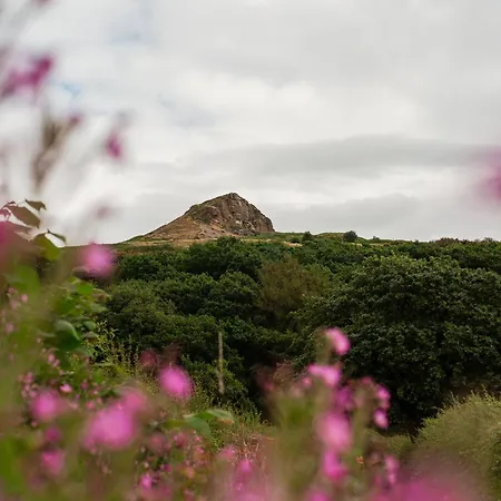 Roseberry Terrace By Horizon