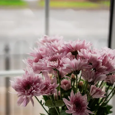 Roseberry Terrace By Horizon בית נופש *