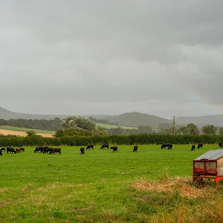 Ferienhaus Roseberry Terrace By Horizon