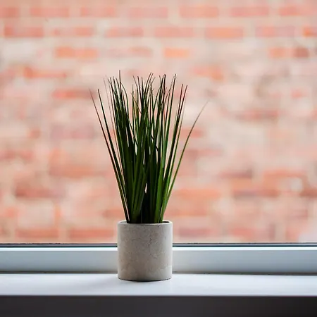 Roseberry Terrace By Horizon Great Ayton