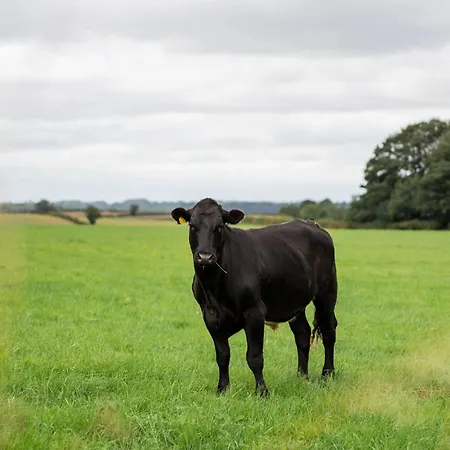 Ferienhaus Roseberry Terrace By Horizon *