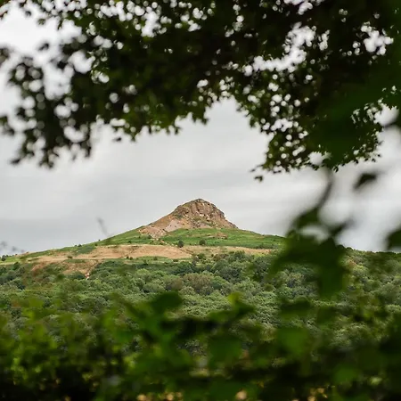 Roseberry Terrace By Horizon