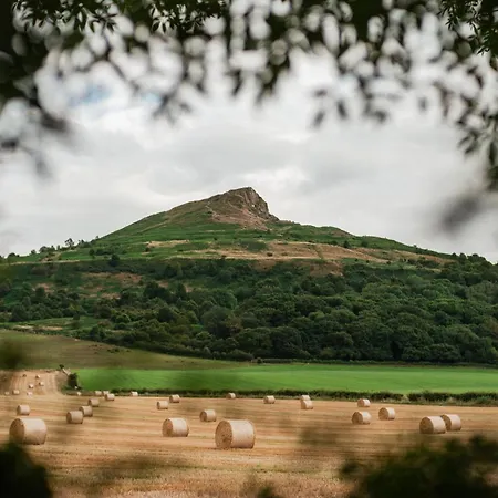 Roseberry Terrace By Horizon Ferienhaus Great Ayton
